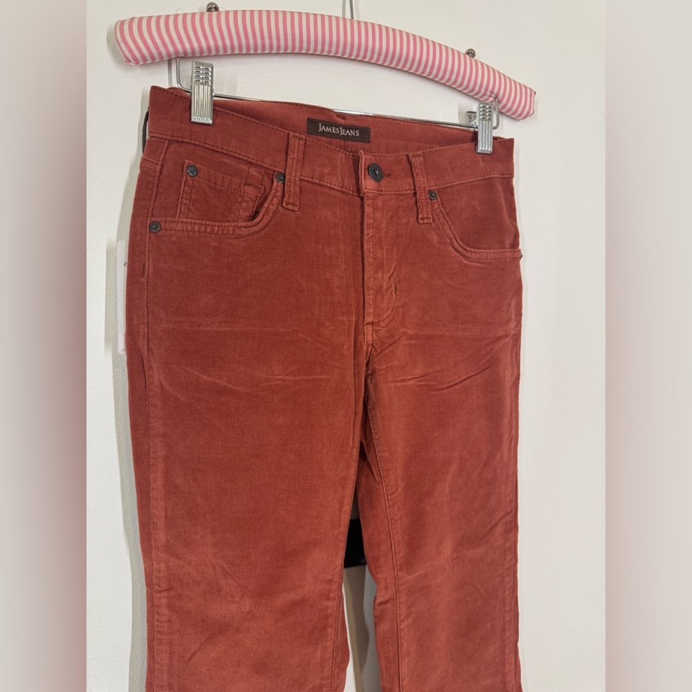 NWT James Jeans Terracotta Micro Corduroy Pants Size 25 Denim Style Womens Soft - Picture 2 of 11